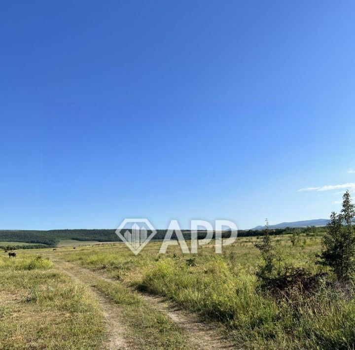 офис г Новороссийск х Семигорский фото 3