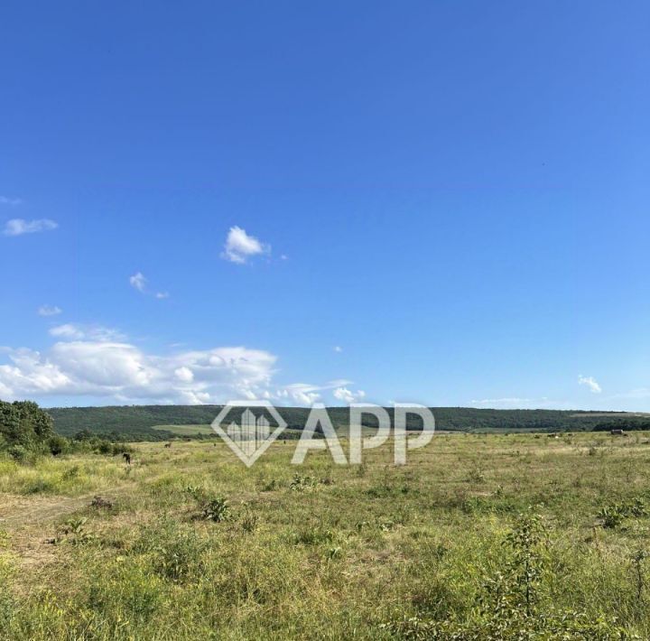 офис г Новороссийск х Семигорский фото 6