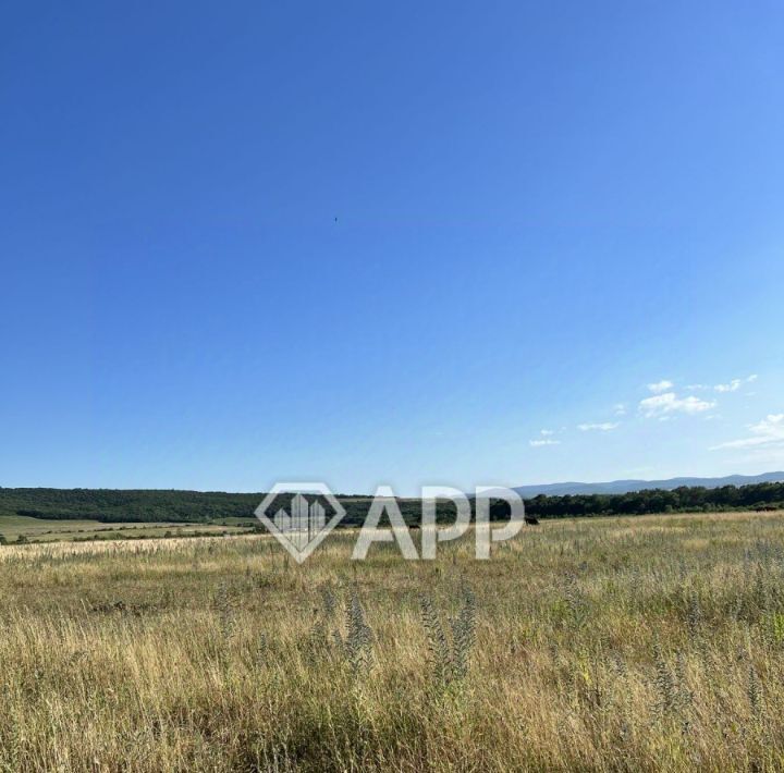 офис г Новороссийск х Семигорский фото 7