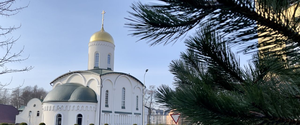 дом г Калининград р-н Ленинградский ул В.Гакуна 3 фото 44