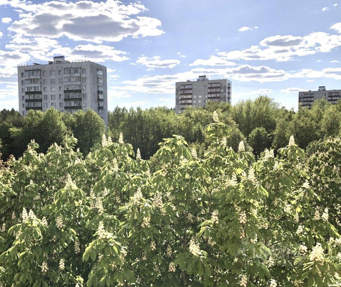 квартира г Зеленоград ЗелАО к 709, Московская область, г Пушкино, Зеленоград фото 16