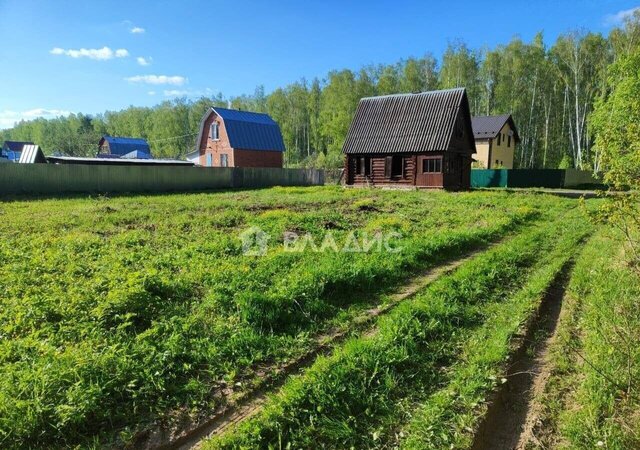 86 км, СНТ Алиса, 53, Первомайский, Каширское шоссе фото