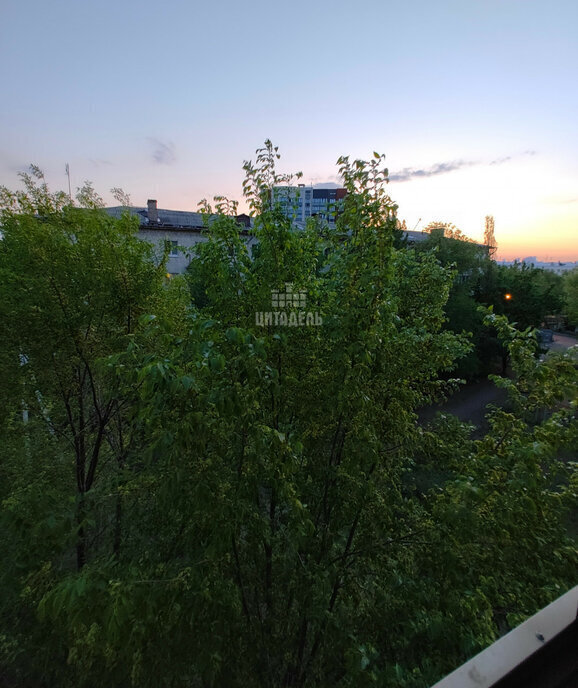 квартира г Воронеж ул Меркулова 4/1 фото 10