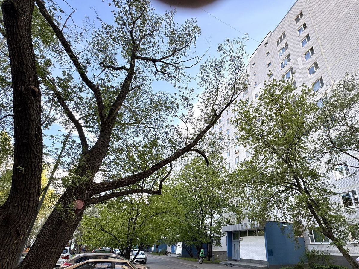 квартира г Москва метро Бибирево ул Корнейчука 36а фото 5
