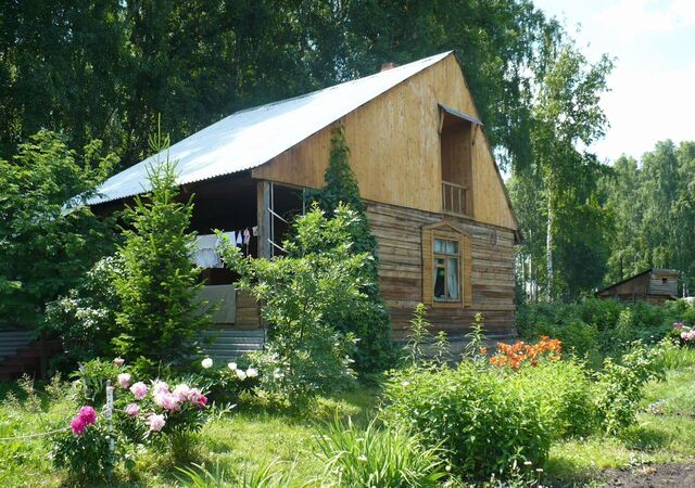 Кемеровская обл. — Кузбасс, СДТ Универсал-2, Кемерово фото