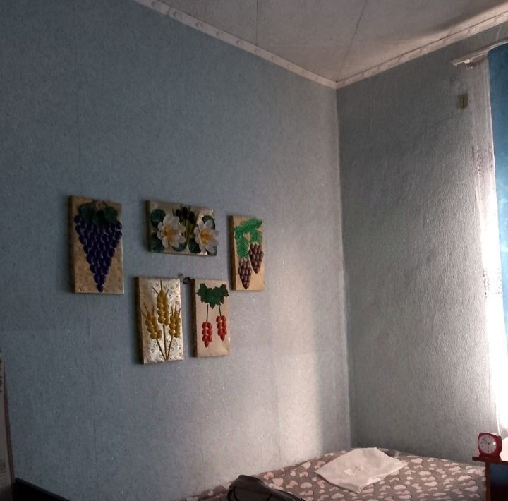 дом г Киселевск ул Садовая 32 фото 14