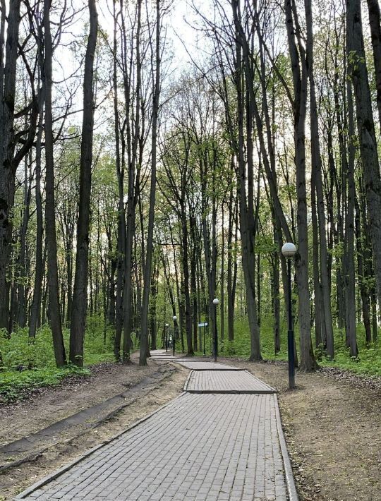 квартира г Красногорск Павшино Тёплый бетон ул Школьная 11 фото 33