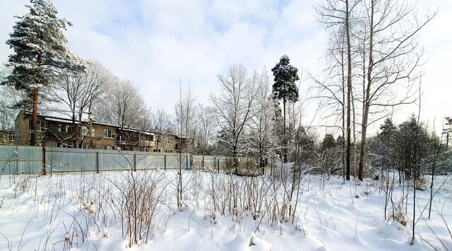 Вырица городской поселок фото