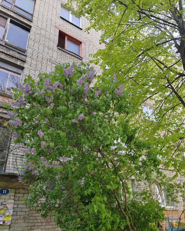 комната г Калининград р-н Московский ул Эльблонгская 11 фото 19