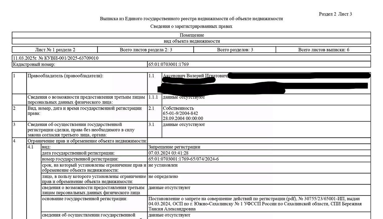 свободного назначения г Южно-Сахалинск ул Ленина 217 фото 3