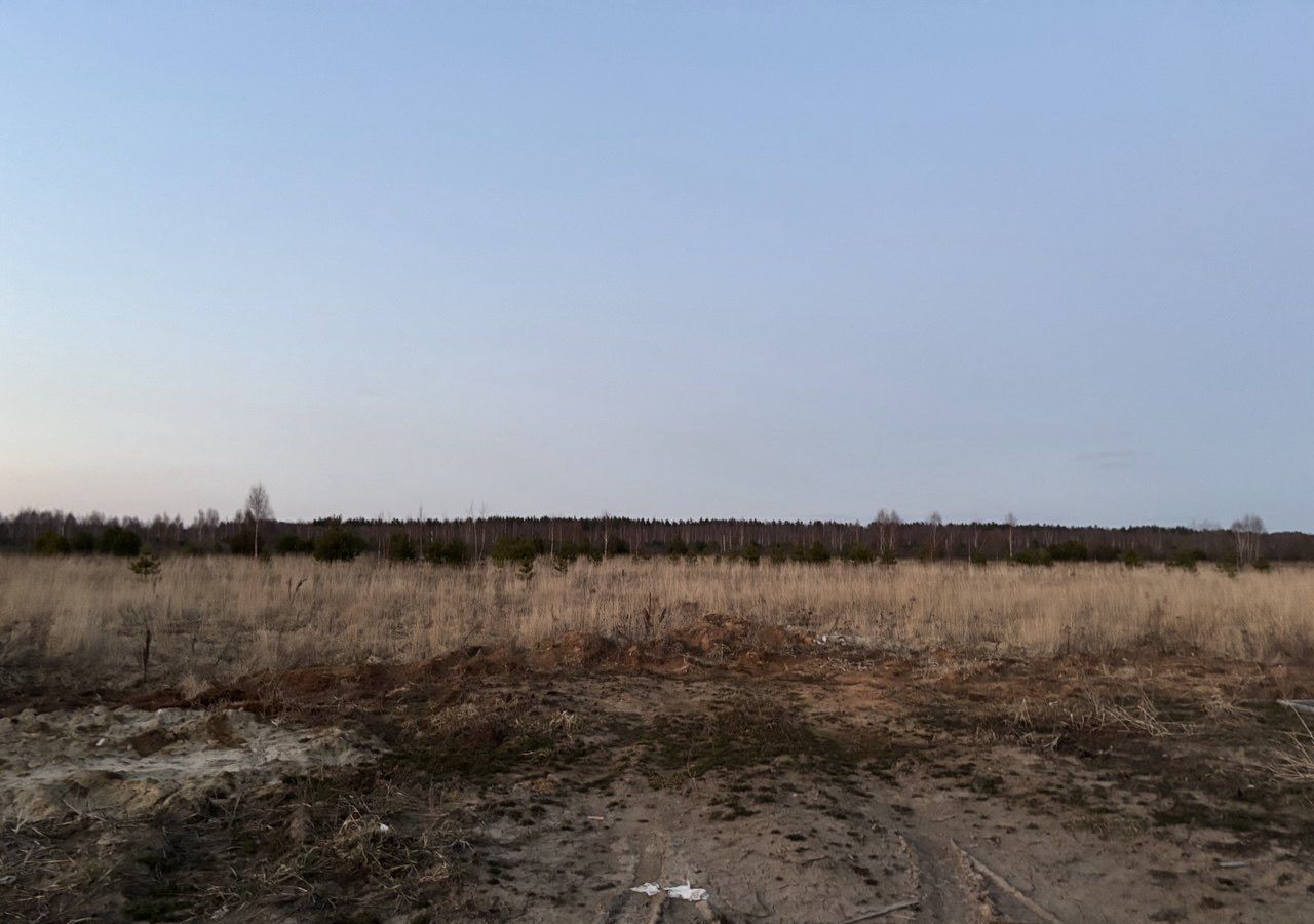 земля г Бор мкр-н Везломская слобода, Богоявленская ул фото 2