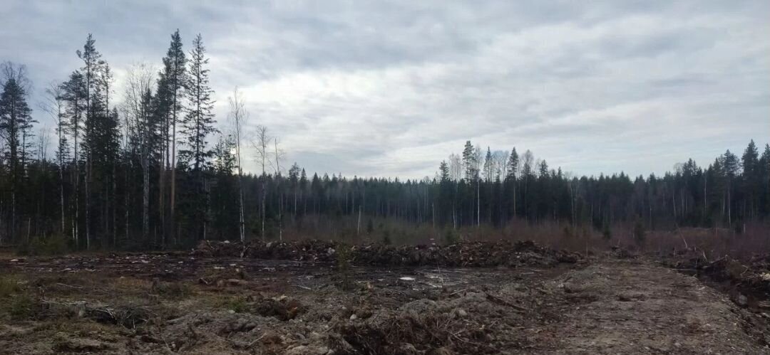 земля г Петрозаводск р-н Древлянка ул Розмозерская фото 6