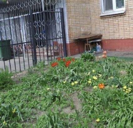 квартира г Щербинка ул Котовского 12 метро Новокосино Московская область, Реутов фото 1