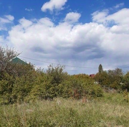 земля г Аткарск снт Березка 252 фото 6