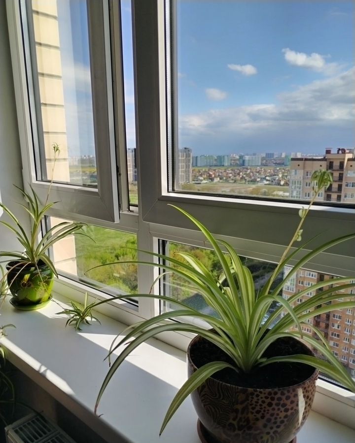 квартира г Краснодар р-н Прикубанский мкр Любимово 18/1 фото 3