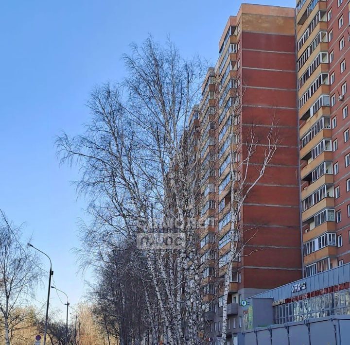 квартира г Новосибирск Золотая Нива ул Добролюбова 162/1 фото 15