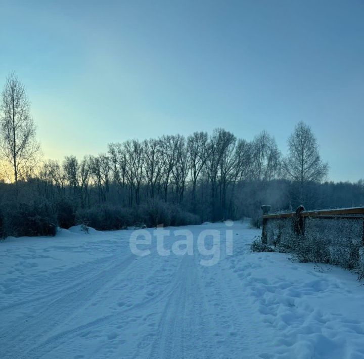 земля г Горно-Алтайск снт Вишенка 48 фото 4