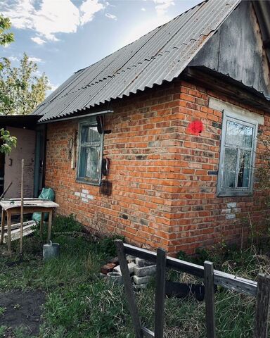 СНТ Электрозаводец фото