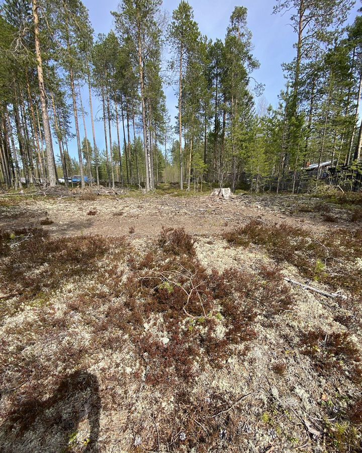 земля г Костомукша Костомукшский муниципальный округ, СОТ Энергетик, 12 фото 7