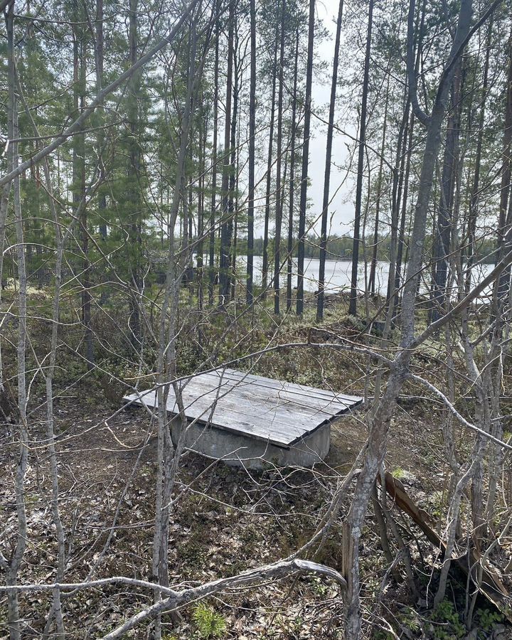 земля г Костомукша Костомукшский муниципальный округ, СОТ Энергетик, 12 фото 11