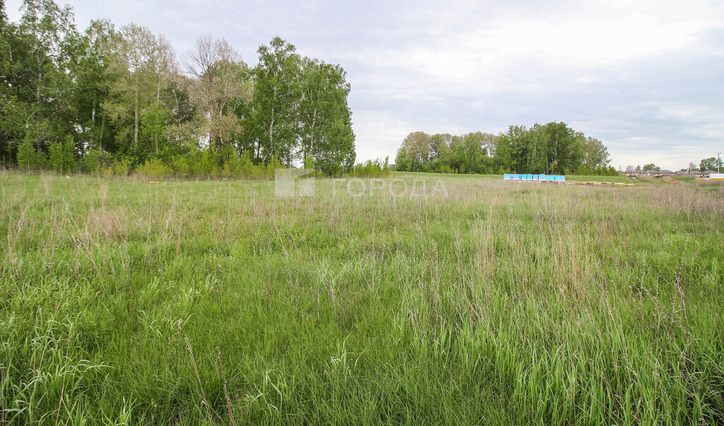 земля г Барнаул фото 2
