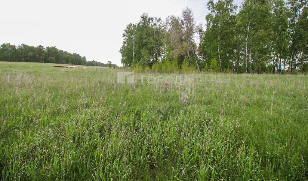 земля г Барнаул фото 5