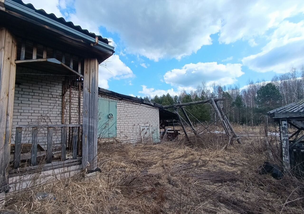 дом г Бор с Линда СНТ Курочкино фото 4