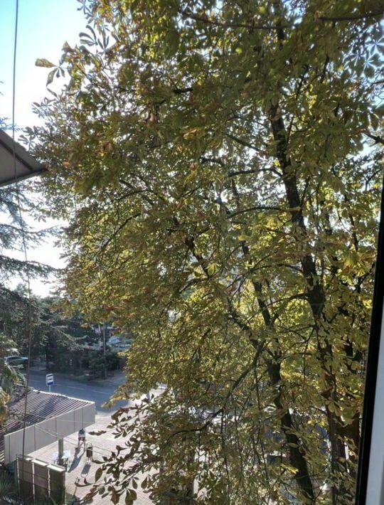 квартира г Сочи р-н Центральный пер Центральный ул Воровского 34 фото 4