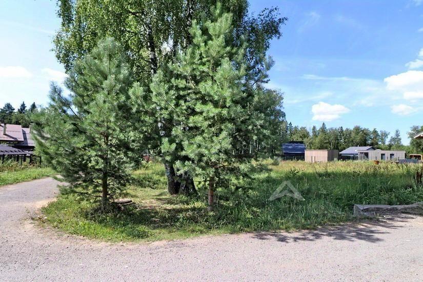 земля г Солнечногорск Истра Парк кп фото 4