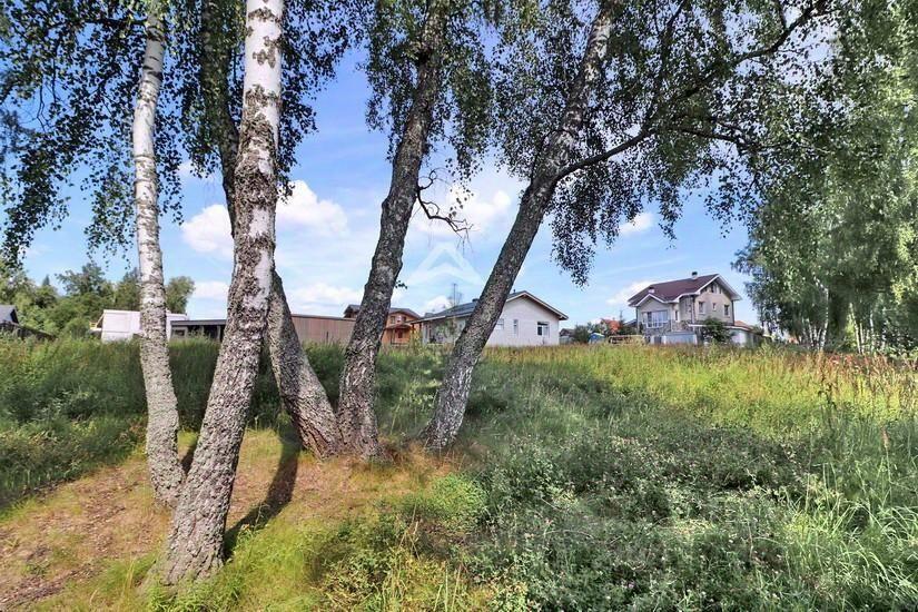 земля г Солнечногорск Истра Парк кп фото 11