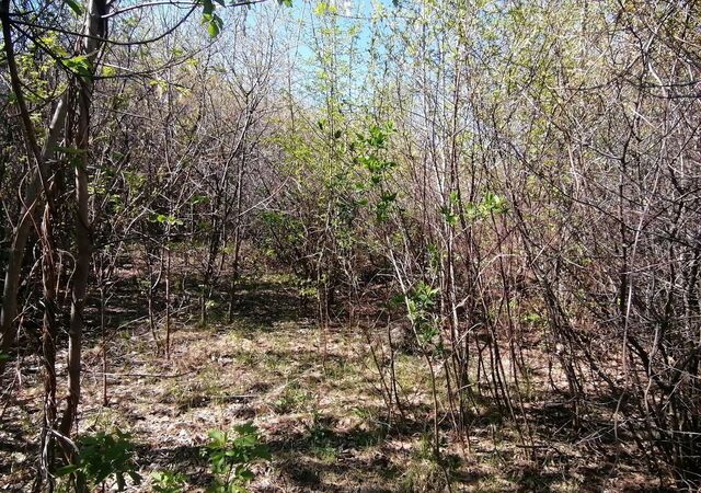 земля р-н Центральный снт Октябрьский садовод фото