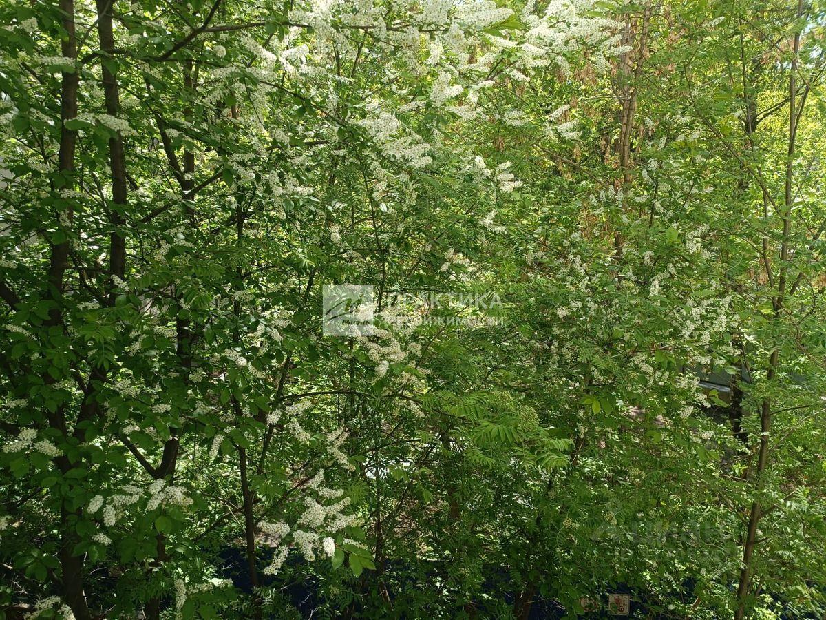 квартира г Москва ВАО Северное Измайлово б-р Сиреневый 27/3 Московская область фото 9