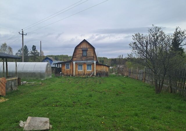 Суроватиха фото