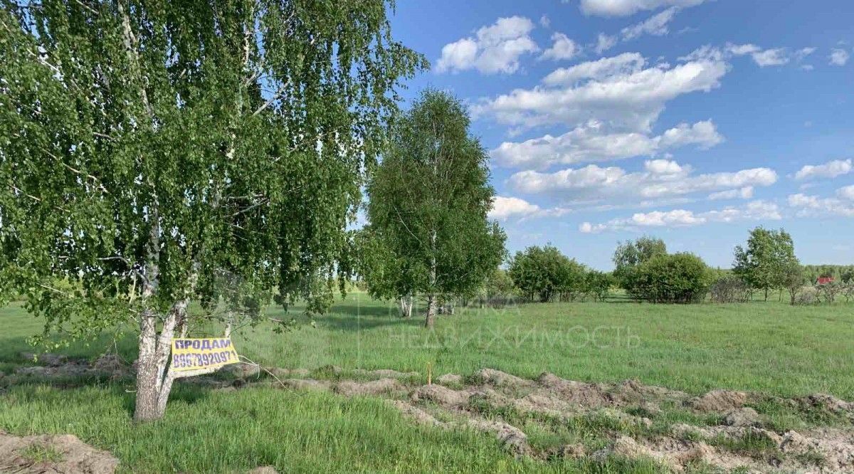 земля г Тюмень р-н Центральный ул Здоровья 13 СОСН Тура тер. фото 13