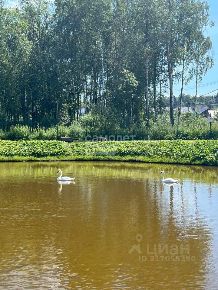дом г Истра Лисички дп, ул. Южная фото 19
