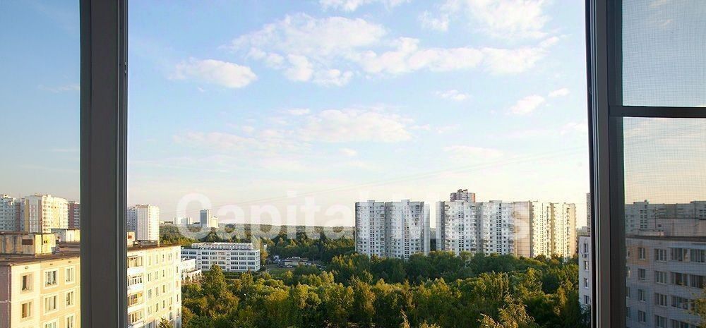 квартира г Москва метро Ясенево ул Голубинская 13к/1 муниципальный округ Ясенево фото 2