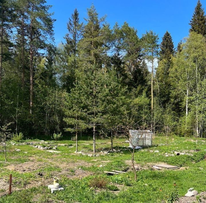 земля г Сортавала фото 4