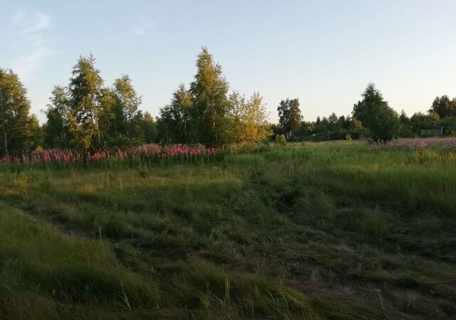 снт Сосновый бор Красноярский тракт, 7 км, Чернолучинское городское поселение, дп. Чернолучинский, 97 фото