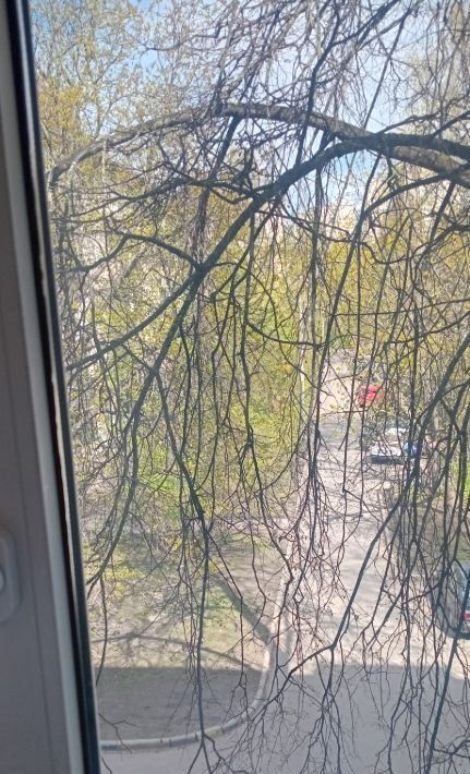 квартира г Санкт-Петербург метро Площадь Ленина пр-кт Металлистов 59 Финляндский округ фото 3