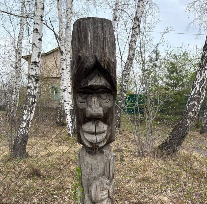 дом г Челябинск р-н Советский снт Прогресс 23-й кв-л, 700 фото 11