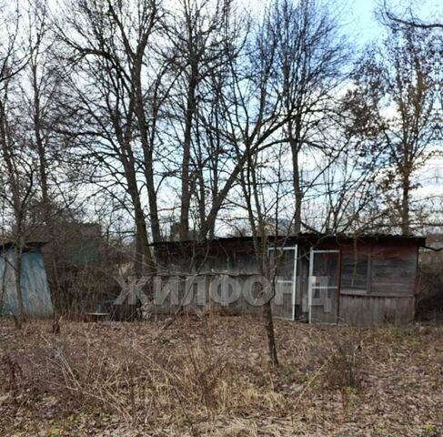 сельский округ, Тула городской округ фото