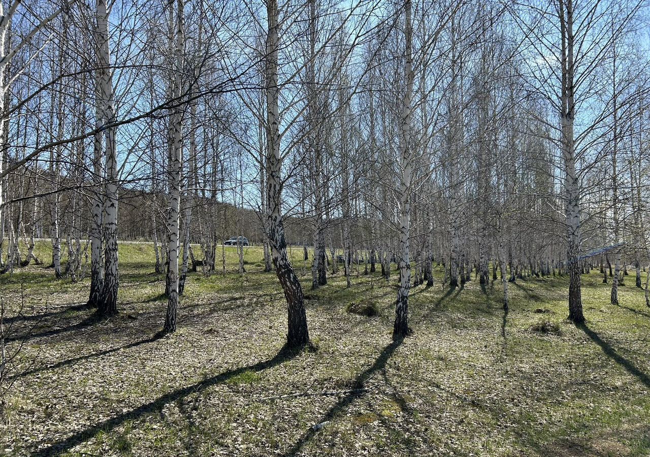 земля г Карабаш п Мухаметово Карабашский г. о. фото 3
