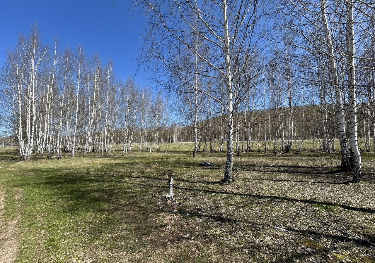земля г Карабаш п Мухаметово Карабашский г. о. фото 17