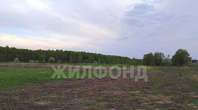 земля ул Зареченская Добрунское с/пос фото