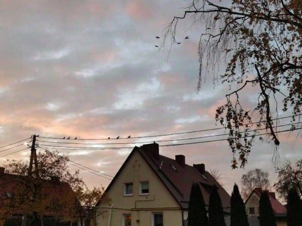квартира р-н Гурьевский г Гурьевск ул Балтийская 2 фото 10
