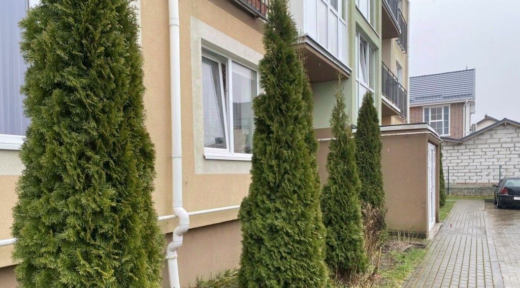 квартира р-н Зеленоградский г Зеленоградск ул Ясная 12 фото 20