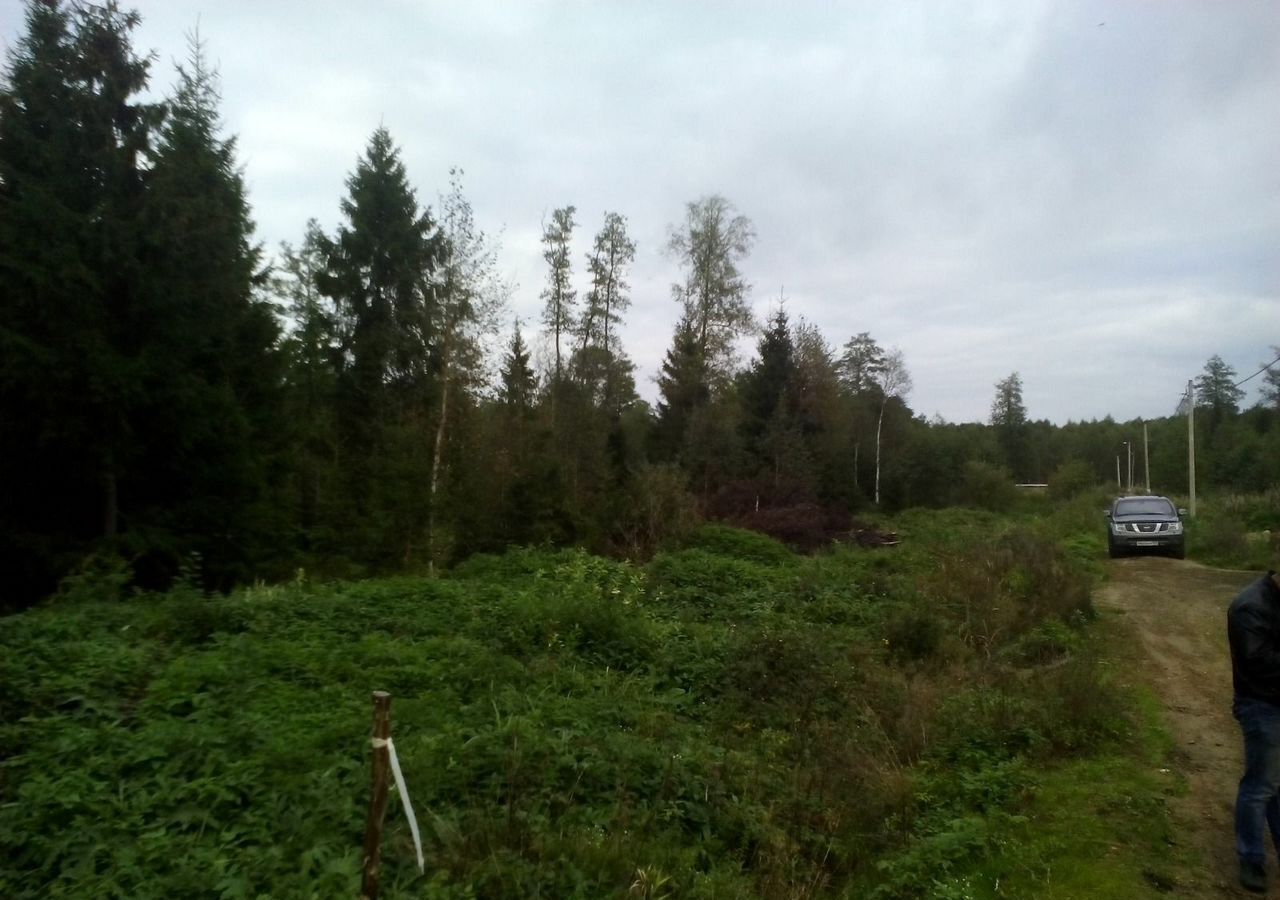 земля городской округ Талдомский г Талдом снт Верба 78 км, Вербилки, Дмитровское шоссе фото 5