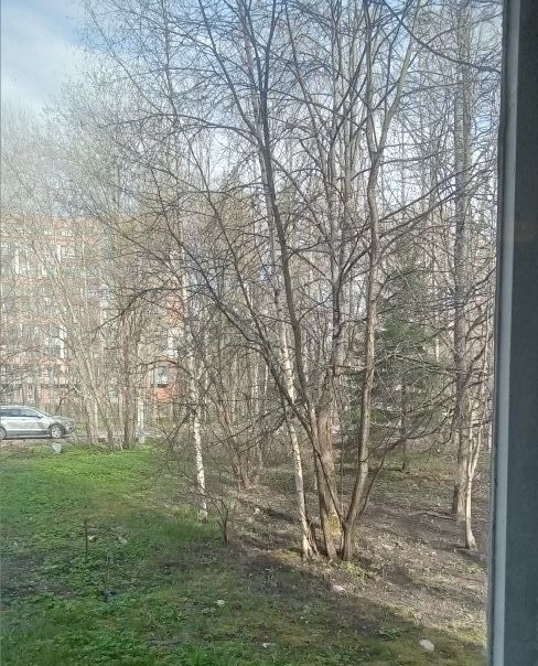 квартира г Зеленогорск Курортный ул Комсомольская 10 фото 7