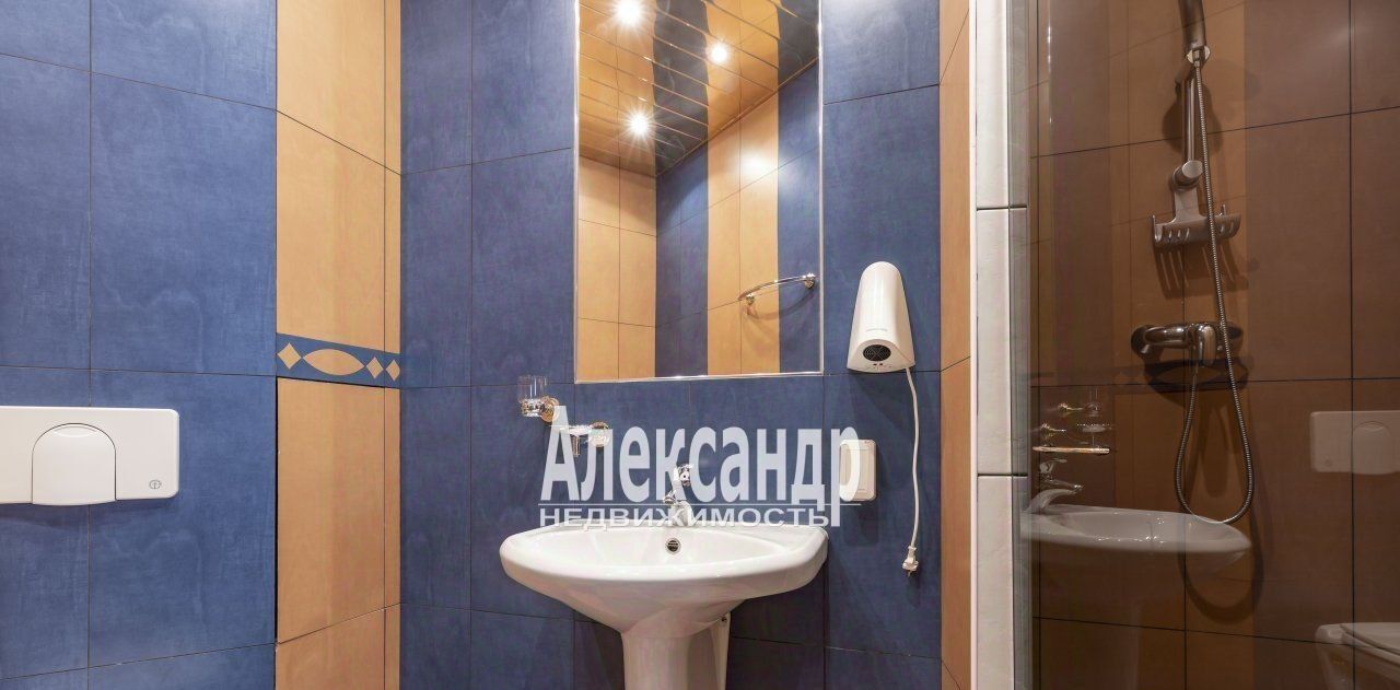 квартира г Санкт-Петербург метро Площадь Восстания ул Пушкинская 10 фото 29
