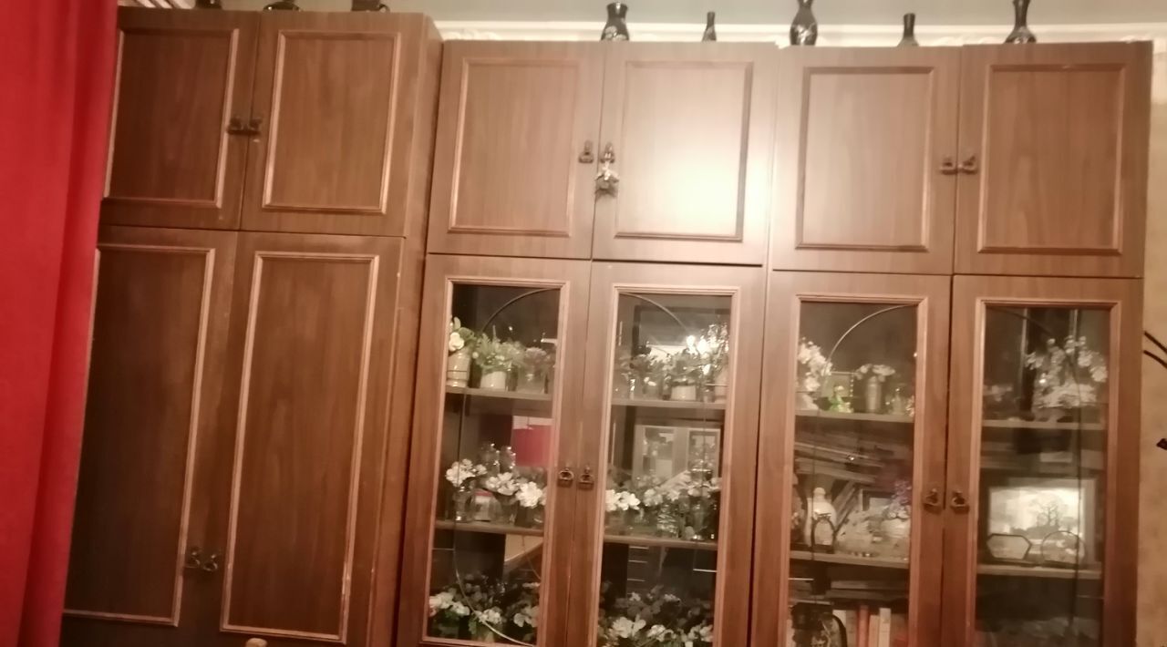 комната г Санкт-Петербург метро Проспект Ветеранов пр-кт Ветеранов 93 округ Ульянка фото 4